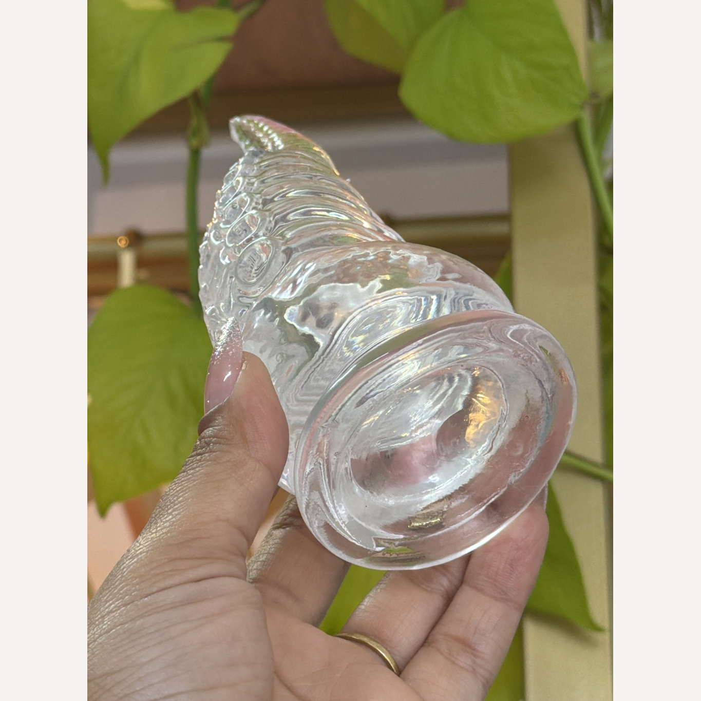 Plug Anal Tentáculo Polvo Dildo Monster Ventosa 18 X 5Cm