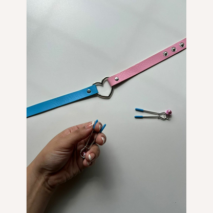 Kit Bicolor Grampos Seios e Choker Gargantilha Sexy Import