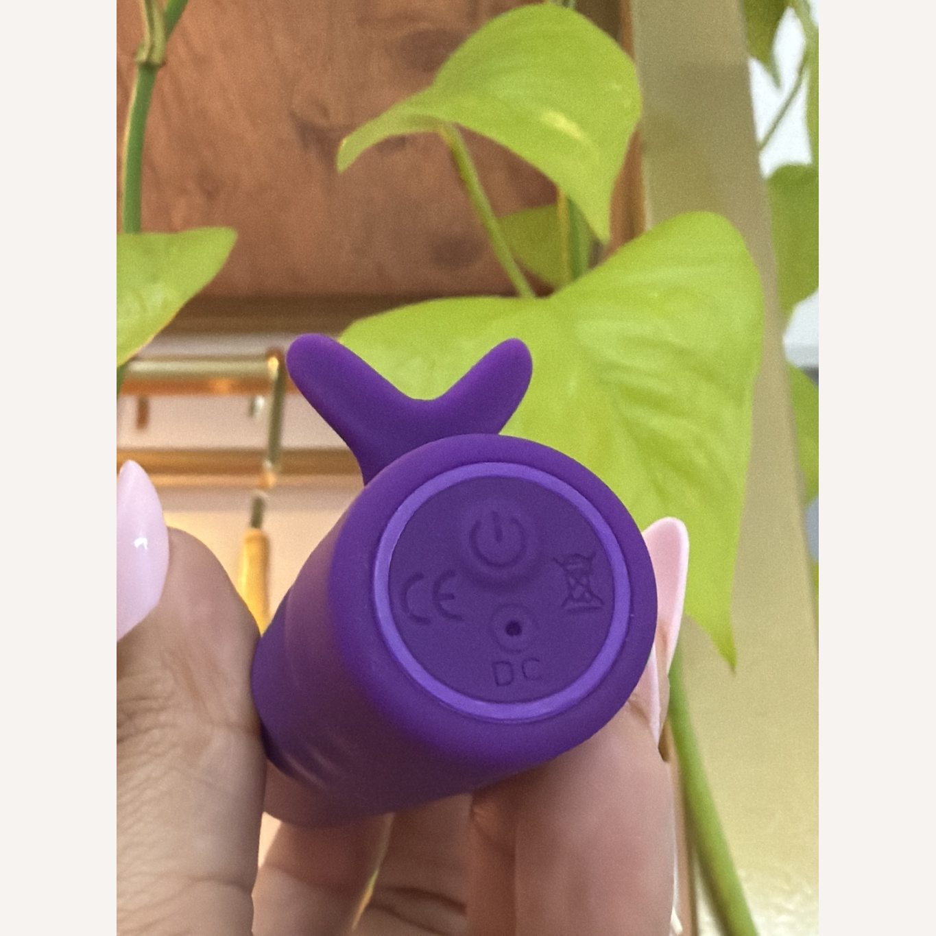 Mini Vibrador Golfinho Recarregável para Ponto G com 10 modos de vibração