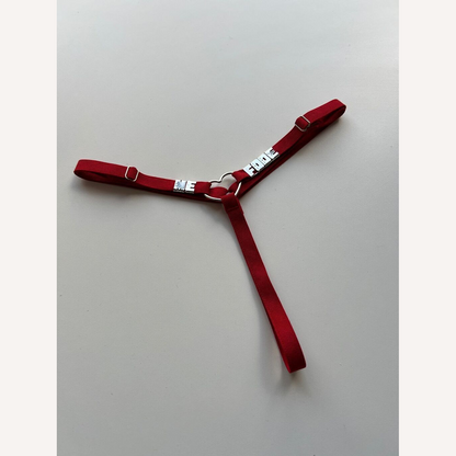 Calcinha Micro Fio Sem ou Com Personalização