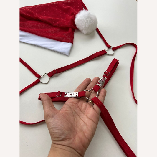 Fantasia Mamãe Noel Delicia Personalizável + Gorro até 12 letras