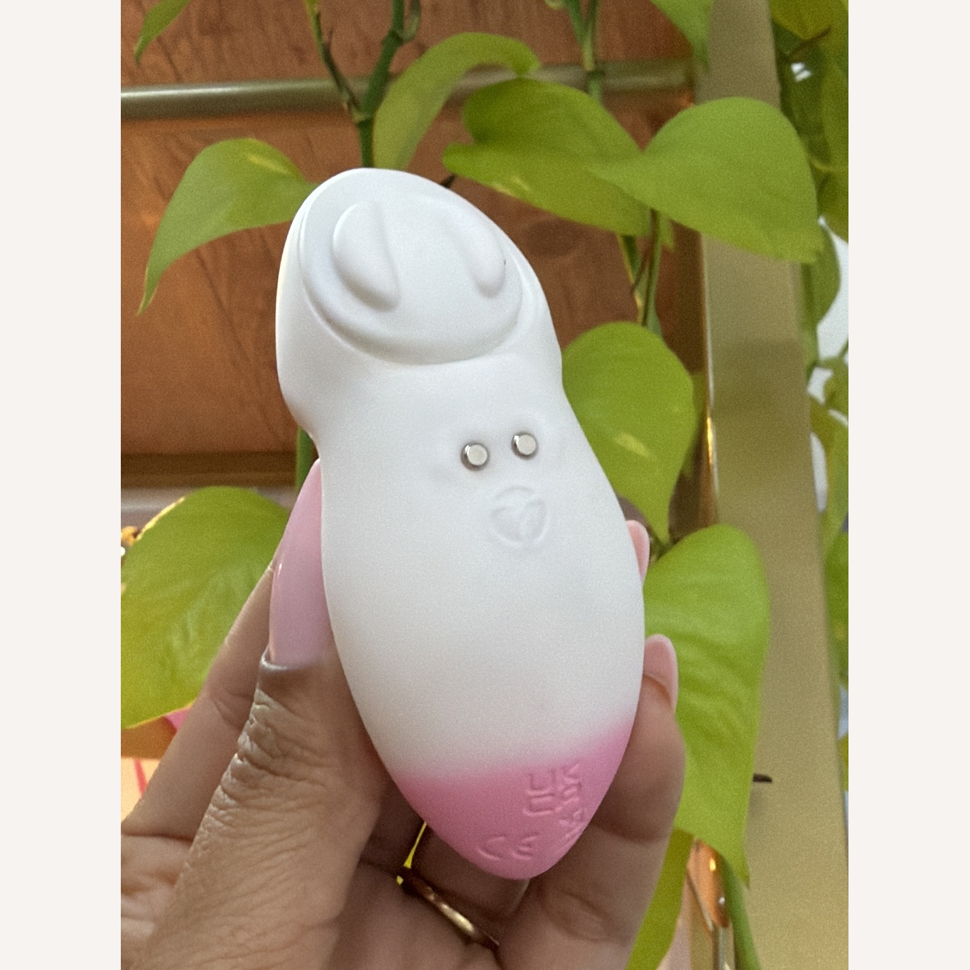 Vibrador de Calcinha por App - SI
