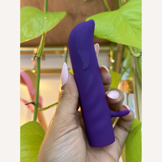 Mini Vibrador Golfinho Recarregável para Ponto G com 10 modos de vibração