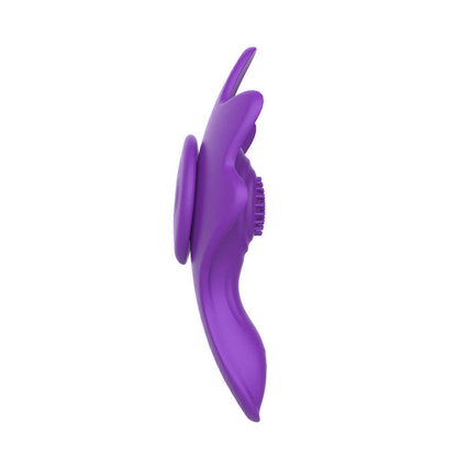 Vibrador de Calcinha Recarregável com 9 Modos de Vibração e Controle Remoto