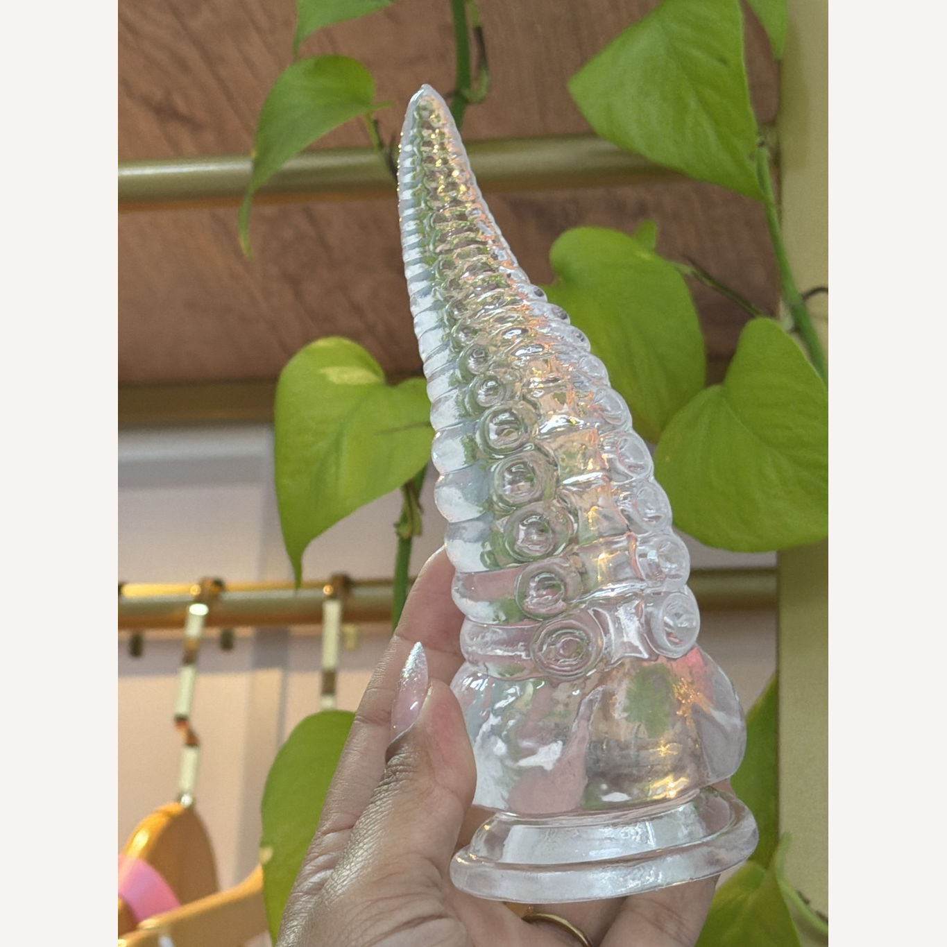 Plug Anal Tentáculo Polvo Dildo Monster Ventosa 18 X 5Cm