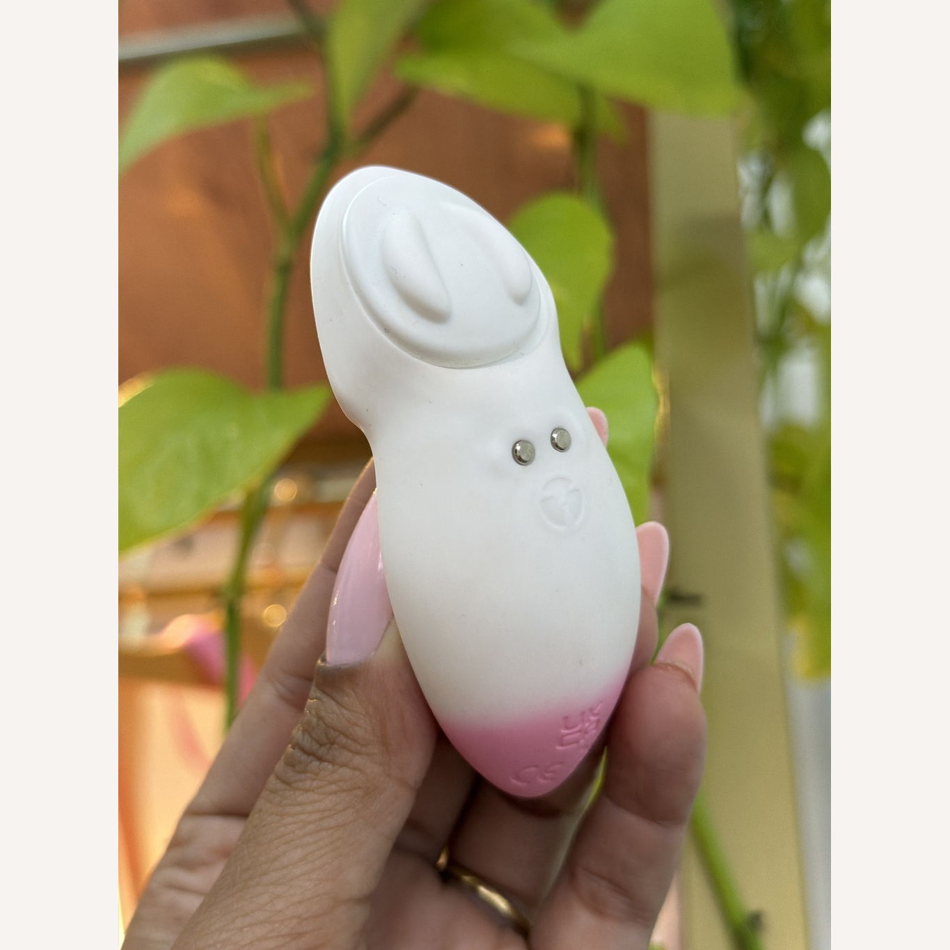 Vibrador de Calcinha por App - SI