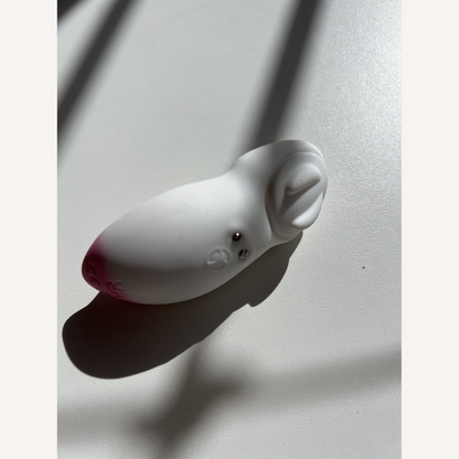 Vibrador de Calcinha por App - SI